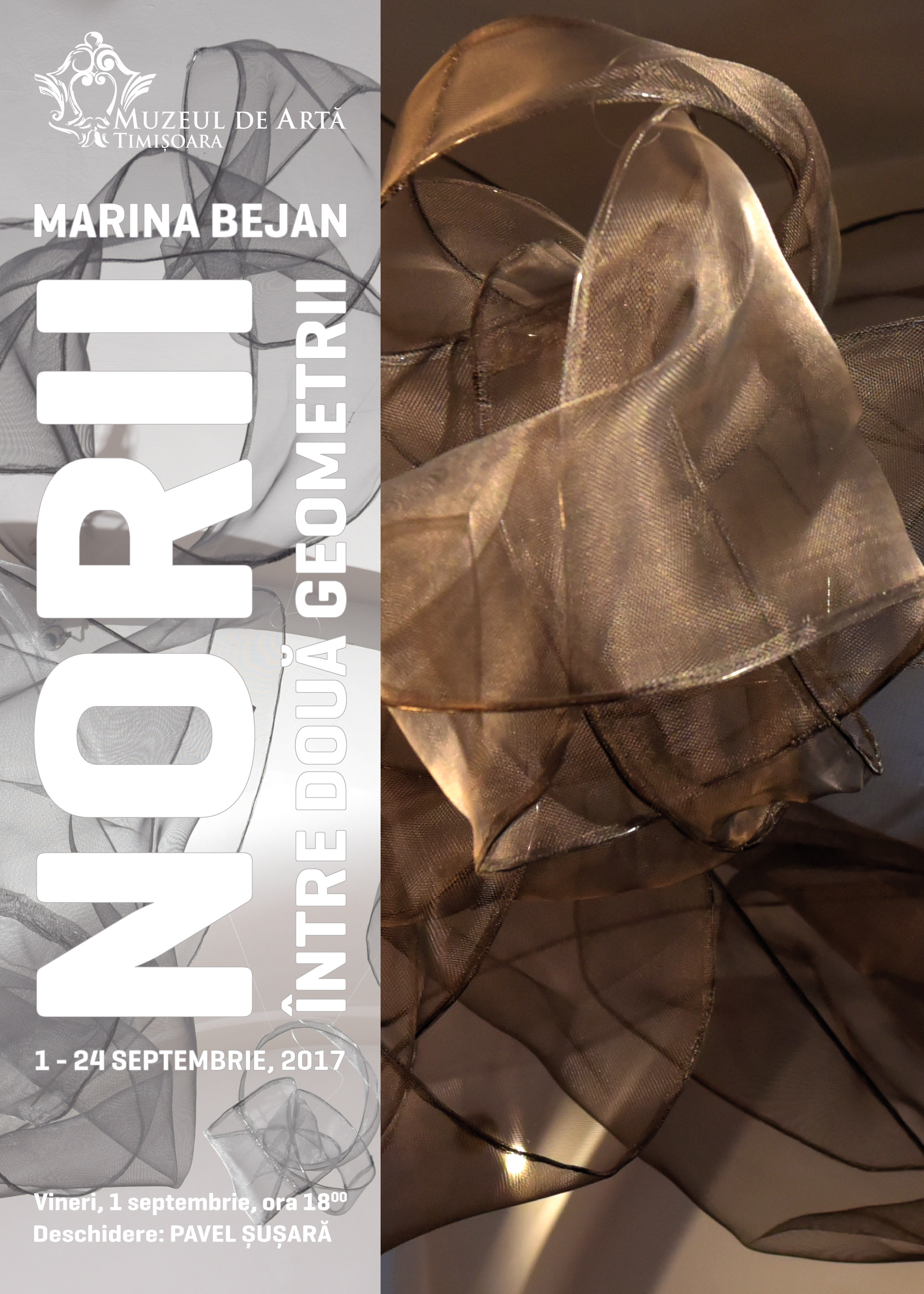 Marina Bejan – Norii. Între două geometrii