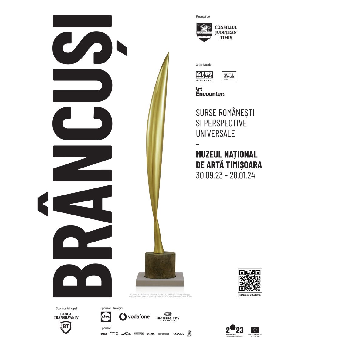 Tickets for the exhibition “Brâncuși: Romanian Sources and Universal Perspectives” in Timisoara are on sale.