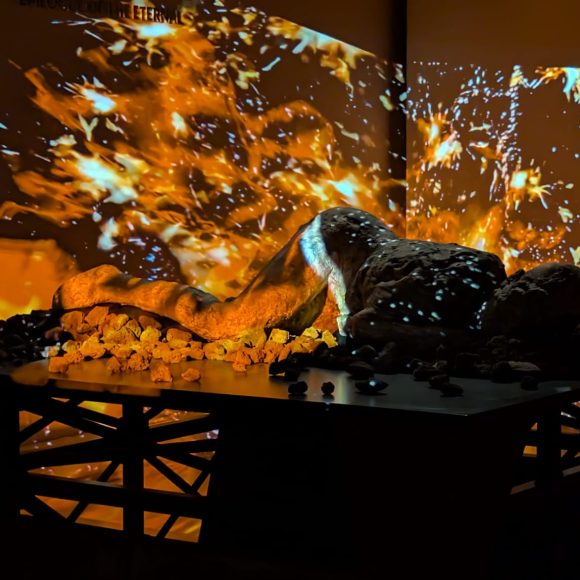 foto1 (1) Expoziția „Fragilitatea Eternului. De la Pompeii la Grand Tour până astăzi” se prelungește până în 3 mai 2026 la Muzeul Național de Artă Timișoara